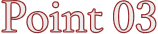 Point 03